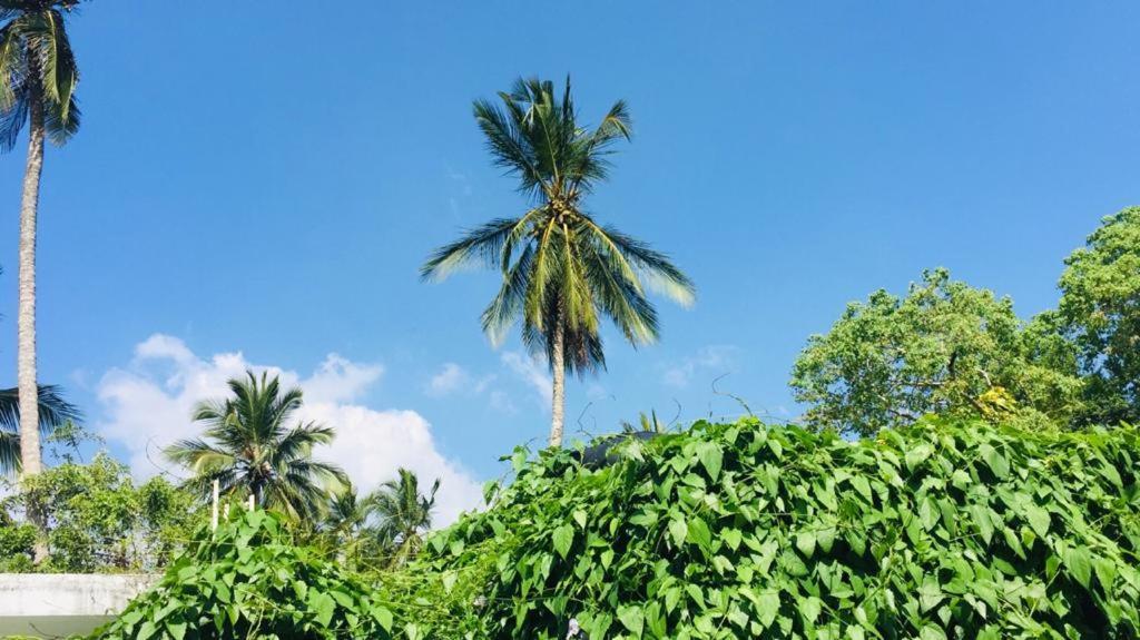 Villa Ceylon Home Unawatuna Kültér fotó